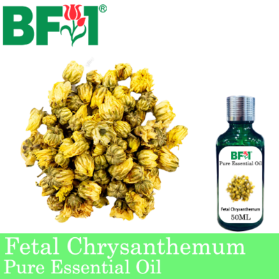 Pure Essential Oil (EO) - Chrysanthemum - Yellow Chrysanthemum Essential Oil - 50ml