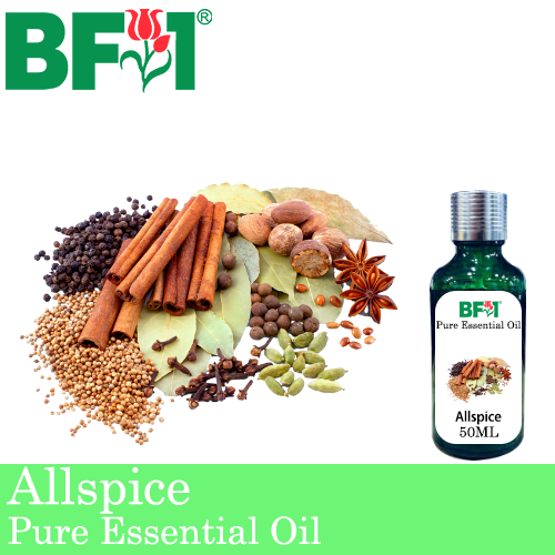 Pure Essential Oil (EO) - Allspice Essential Oil - 50ml