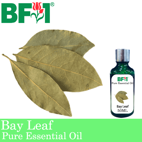 Pure Essential Oil (EO) - Bay Leaf Essential Oil - 50ml