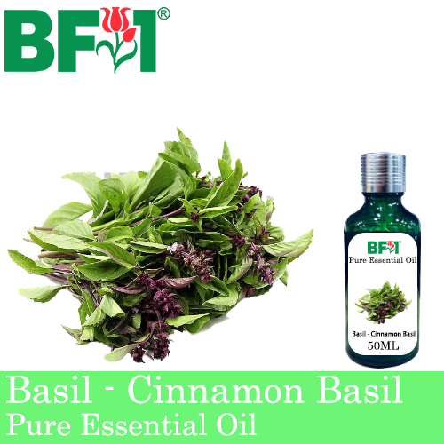 Pure Essential Oil (EO) - Basil - Cinnamon Basil ( Thai Basil ) Essential Oil - 50ml