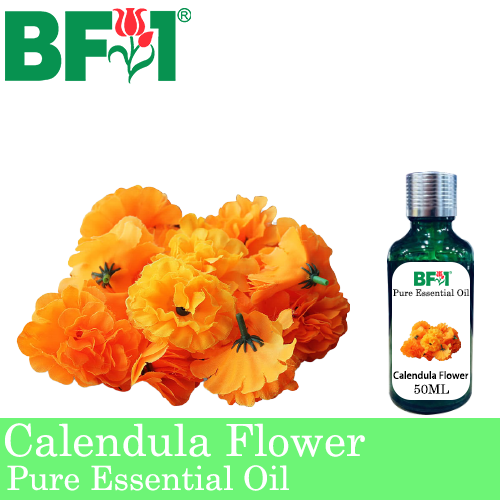 Pure Essential Oil (EO) - Calendula Flower Essential Oil - 50ml