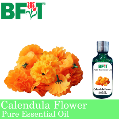 Pure Essential Oil (EO) - Calendula Flower Essential Oil - 50ml