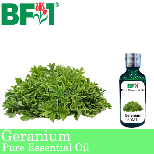 Pure Essential Oil (EO) - Geranium Essential Oil - 50ml