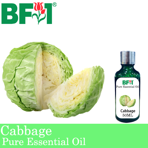 Pure Essential Oil (EO) - Cabbage Essential Oil - 50ml