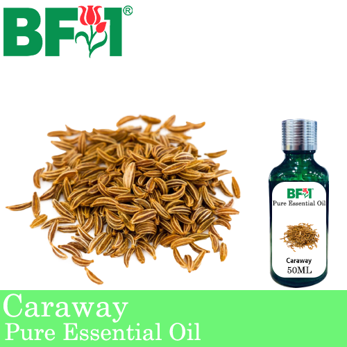 Pure Essential Oil (EO) - Caraway Essential Oil - 50ml