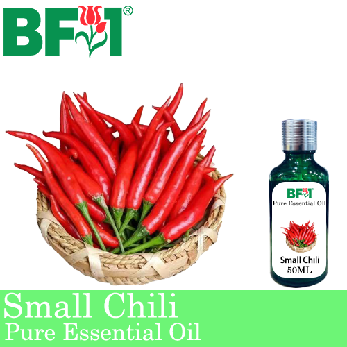 Pure Essential Oil (EO) - Chili - Small Chili Essential Oil - 50ml