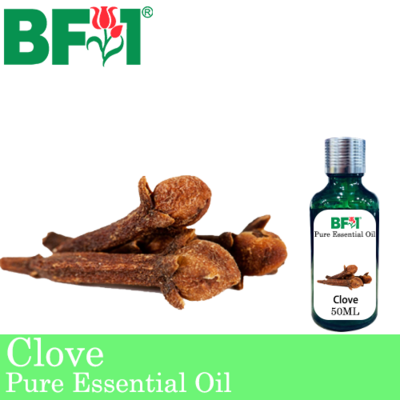 Pure Essential Oil (EO) - Clove Essential Oil - 50ml