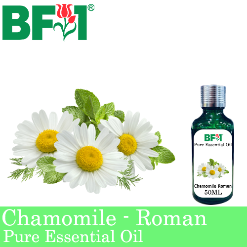 Pure Essential Oil (EO) - Chamomile - Roman Chamomile Essential Oil - 50ml