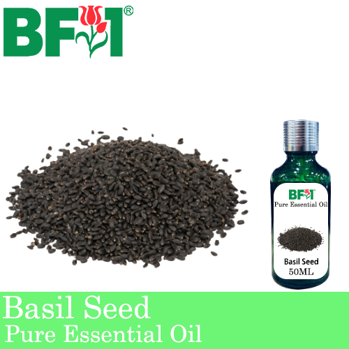 Pure Essential Oil (EO) - Basil Seed ( Ocimum Basilcum ) Essential Oil - 50ml