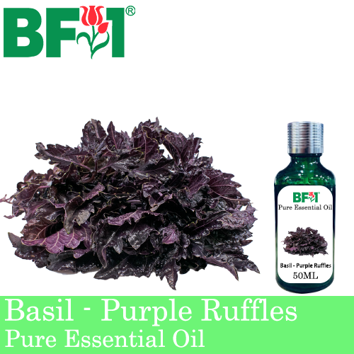 Pure Essential Oil (EO) - Basil - Purple Ruffles Basil Essential Oil - 50ml