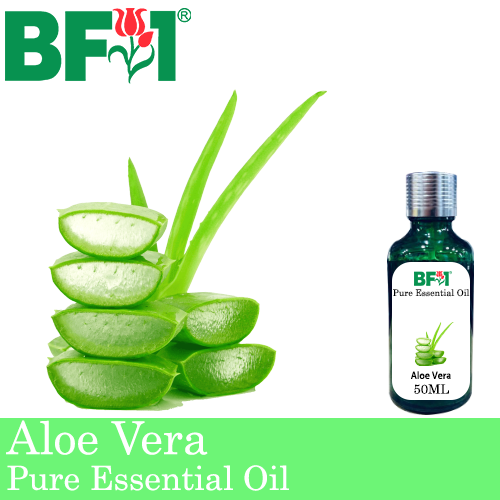 Pure Essential Oil (EO) - Aloe Vera Essential Oil - 50ml