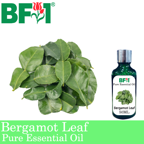 Pure Essential Oil (EO) - Bergamot Leaf Essential Oil - 50ml