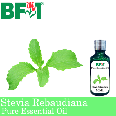 Pure Essential Oil (EO) - Stevia ( Stevia Rebaudiana ) Essential Oil - 50ml