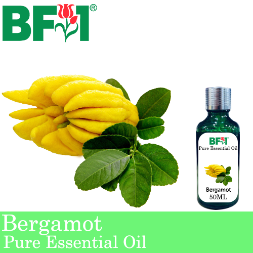 Pure Essential Oil (EO) - Bergamot Essential Oil - 50ml