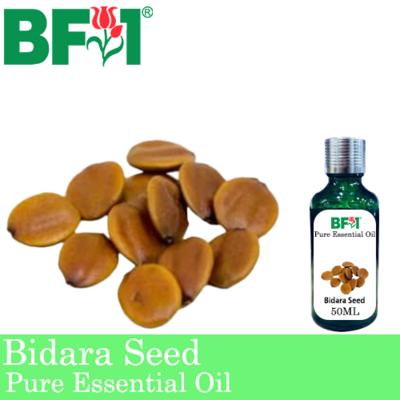 Pure Essential Oil (EO) - Bidara Seed ( Zizyphus Mauritiana ) Essential Oil - 50ml