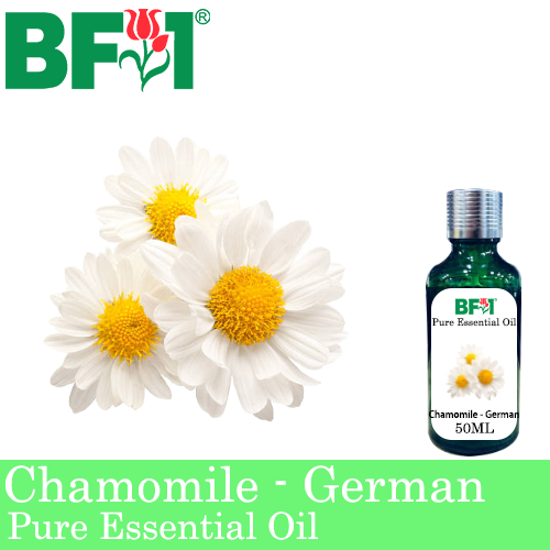 Pure Essential Oil (EO) - Chamomile - German Chamomile Essential Oil - 50ml