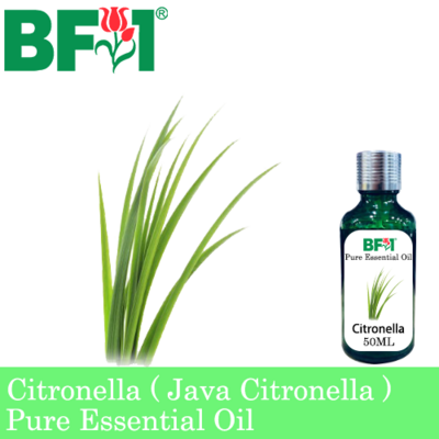 Pure Essential Oil (EO) - Citronella ( Java Citronella ) Essential Oil - 50ml