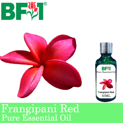 Pure Essential Oil (EO) - Frangipani Red Essential Oil - 50ml