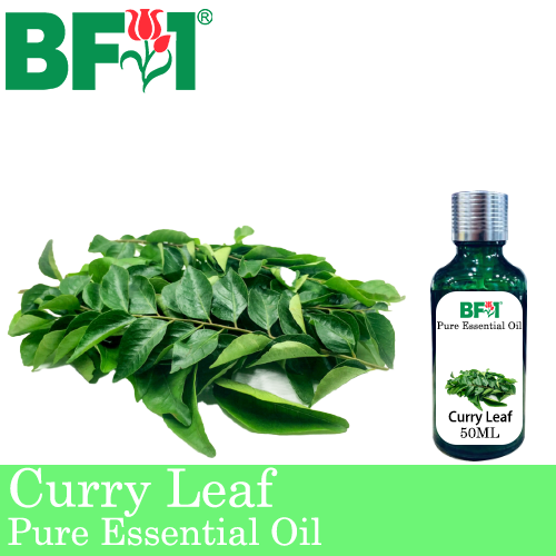 Pure Essential Oil (EO) - Curry Leaf Essential Oil - 50ml