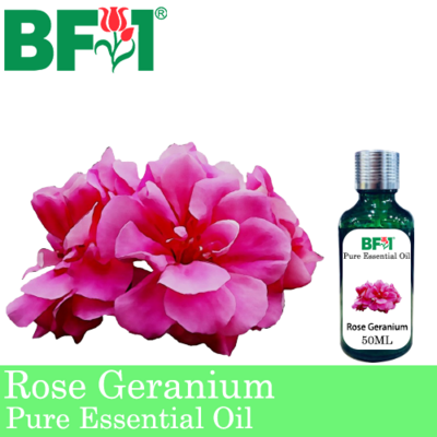 Pure Essential Oil (EO) - Geranium - Rose Geranium Essential Oil - 50ml