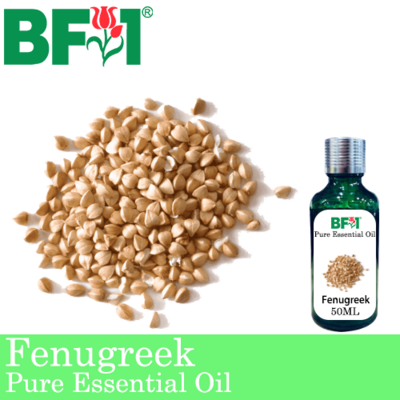 Pure Essential Oil (EO) - Fenugreek Essential Oil - 50ml