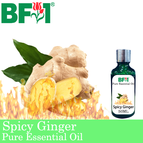 Pure Essential Oil (EO) - Ginger - Spicy Ginger Essential Oil - 50ml