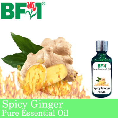 Pure Essential Oil (EO) - Ginger - Spicy Ginger Essential Oil - 50ml