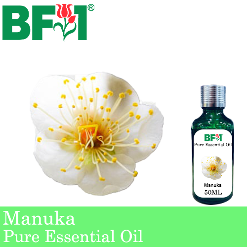 Pure Essential Oil (EO) - Manuka Essential Oil - 50ml