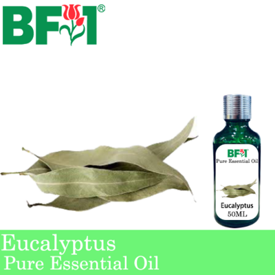 Pure Essential Oil (EO) - Eucalyptus Essential Oil - 50ml