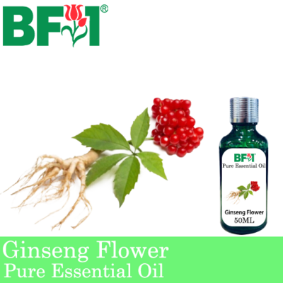 Pure Essential Oil (EO) - Ginseng Flower Essential Oil - 50ml