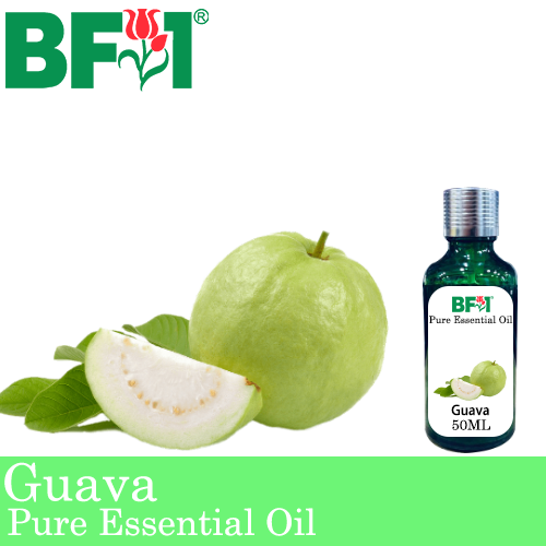 Pure Essential Oil (EO) - Guava Essential Oil - 50ml