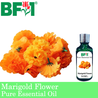 Pure Essential Oil (EO) - Marigold Flower Essential Oil - 50ml