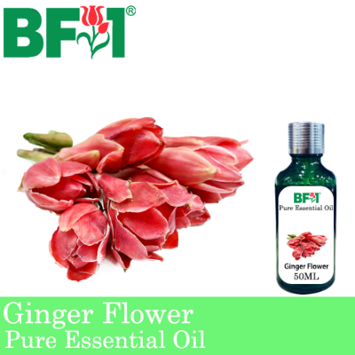 Pure Essential Oil (EO) - Ginger Flower Essential Oil - 50ml