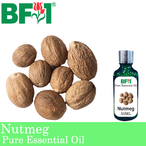 Pure Essential Oil (EO) - Nutmeg Essential Oil - 50ml