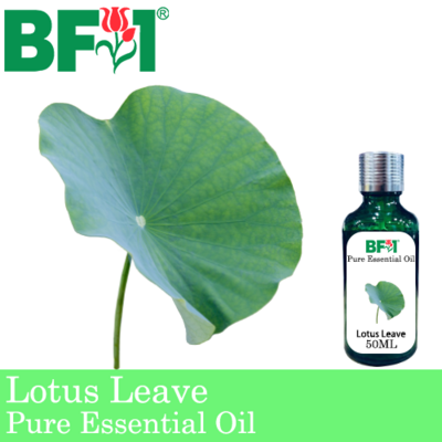 Pure Essential Oil (EO) - Lotus Leave Essential Oil - 50ml