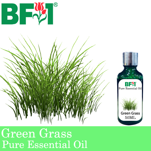 Pure Essential Oil (EO) - Green Grass Essential Oil - 50ml