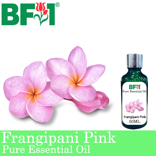 Pure Essential Oil (EO) - Frangipani Pink Essential Oil - 50ml