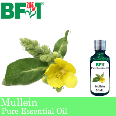 Pure Essential Oil (EO) - Mullein Essential Oil - 50ml