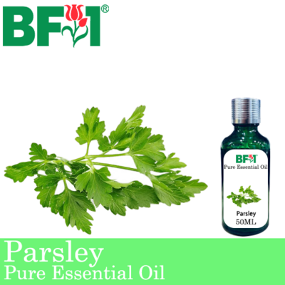 Pure Essential Oil (EO) - Parsley Essential Oil - 50ml