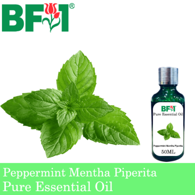 Pure Essential Oil (EO) - Mint - Peppermint ( Mentha Piperita ) Essential Oil - 50ml