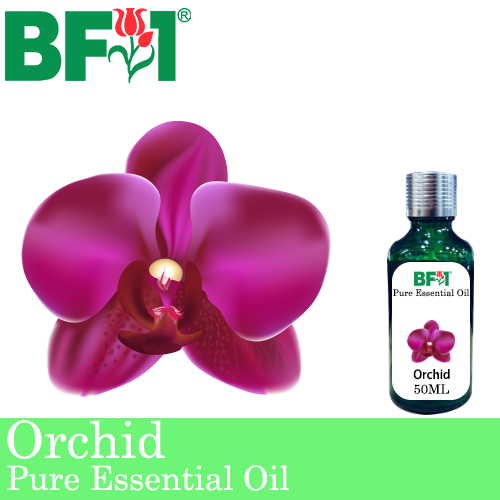 Pure Essential Oil (EO) - Orchid Essential Oil - 50ml