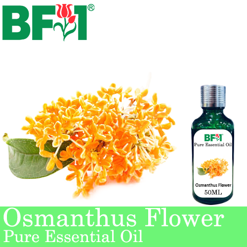 Pure Essential Oil (EO) - Osmanthus Flower Essential Oil - 50ml