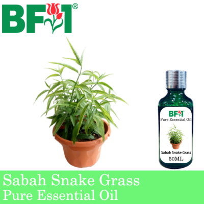 Pure Essential Oil (EO) - Sabah Snake Grass Essential Oil - 50ml