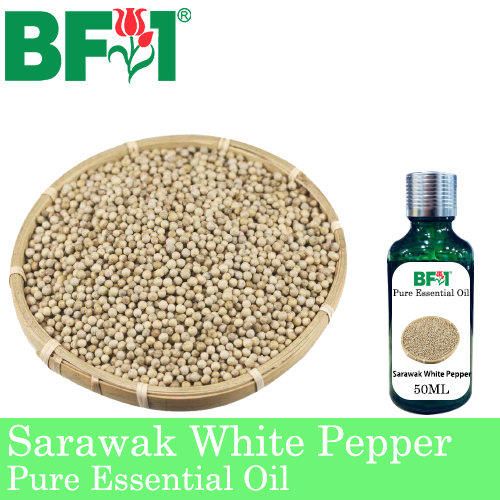 Pure Essential Oil (EO) - Pepper - Sarawak White Pepper Essential Oil - 50ml