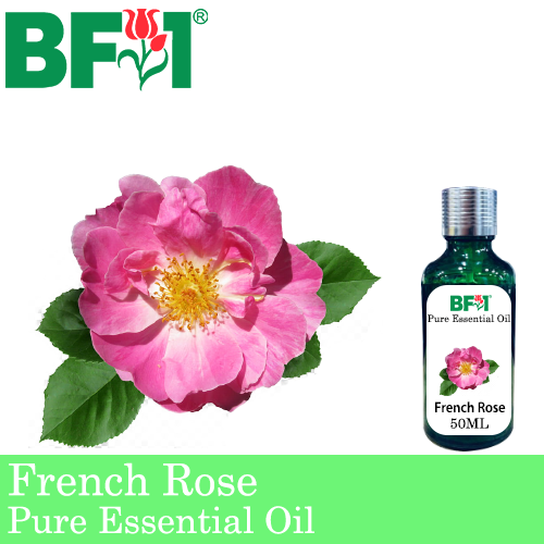 Pure Essential Oil (EO) - Rose - French Rose Essential Oil - 50ml
