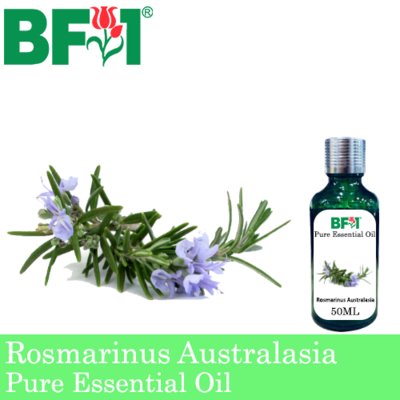 Pure Essential Oil (EO) - Rosmarinus Australasia Essential Oil - 50ml
