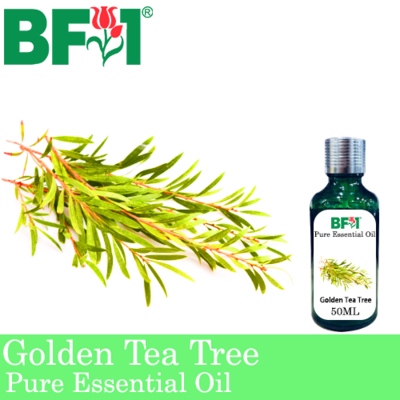 Pure Essential Oil (EO) - Tea Tree - Golden Tea Tree Essential Oil - 50ml