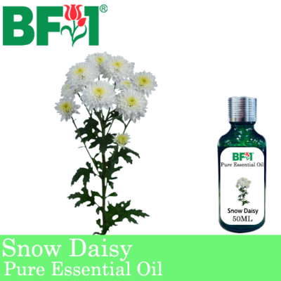 Pure Essential Oil (EO) - Snow Daisy Essential Oil - 50ml