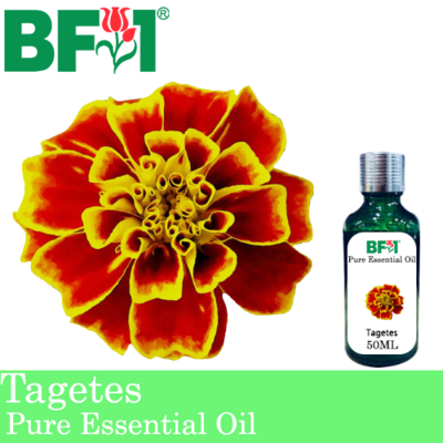 Pure Essential Oil (EO) - Tagetes Essential Oil - 50ml