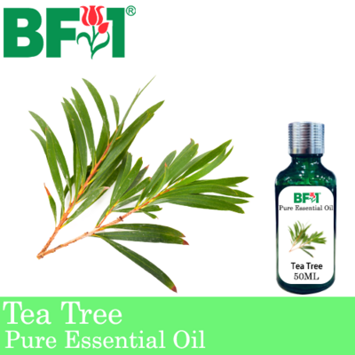 Pure Essential Oil (EO) - Tea Tree Essential Oil - 50ml
